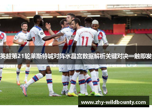 英超第21轮莱斯特城对阵水晶宫数据解析关键对决一触即发 英超第21轮莱斯特城对阵水晶宫数据解析关键对决一触即发