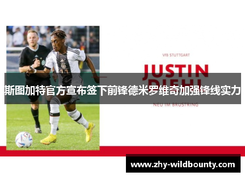 斯图加特官方宣布签下前锋德米罗维奇加强锋线实力 斯图加特官方宣布签下前锋德米罗维奇加强锋线实力