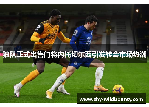 狼队正式出售门将内托切尔西引发转会市场热潮