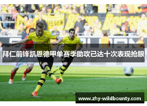 拜仁前锋凯恩德甲单赛季助攻已达十次表现抢眼