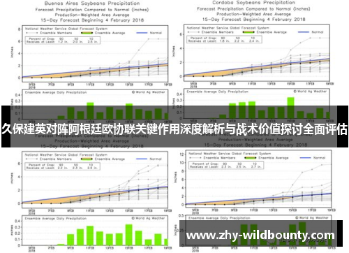 久保建英对阵阿根廷欧协联关键作用深度解析与战术价值探讨全面评估