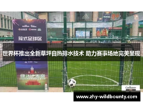 世界杯推出全新草坪自热排水技术 助力赛事场地完美呈现 世界杯推出全新草坪自热排水技术 助力赛事场地完美呈现